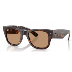 Ray-Ban 0840 902/53