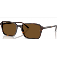 RAY_BAN SOL 2231 Raimond 902/57
