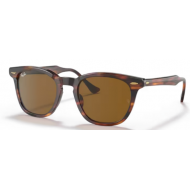 Ray-Ban SOL 2283 954/33