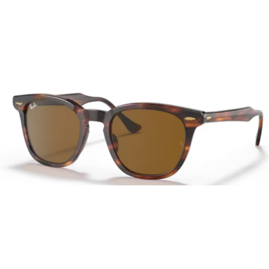 Ray-Ban SOL 2283 954/33