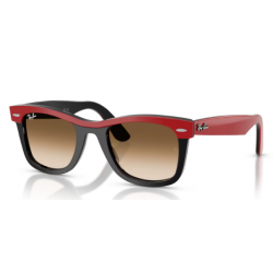 2240 Wayfarer 955/51