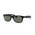 Ray-Ban 2132M F60131