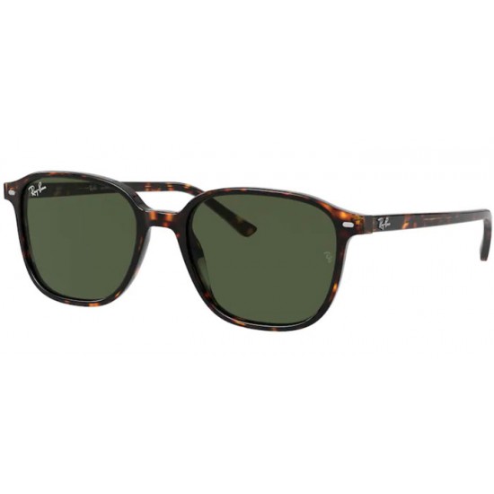 Ray-Ban 2193 902/31 2193