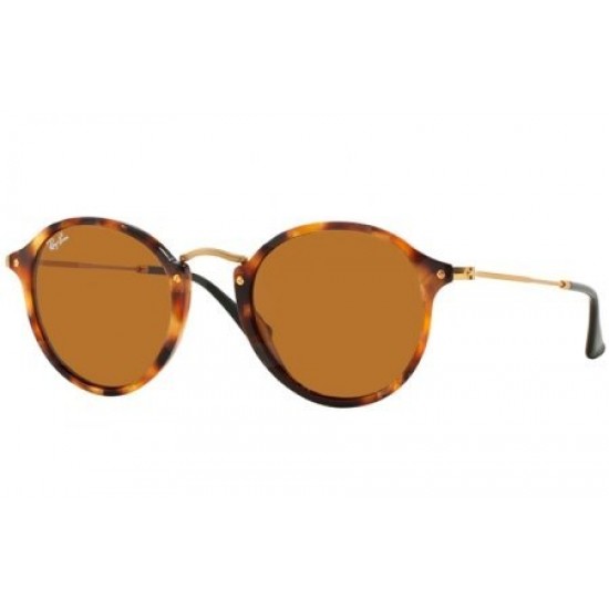 Ray-Ban 2447 1160 2447