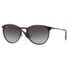 3539 RayBan