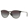 3539 RayBan Erika metal