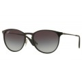 3539 RayBan Erika metal