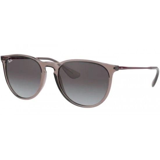 Ray-Ban Erika 4171 65138G 4171 Erika 