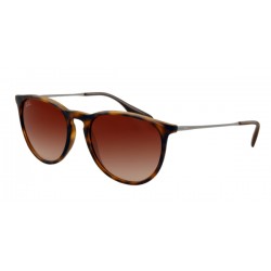 Ray-Ban Erika 4171 865/13