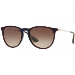 Ray-Ban Erika 4171 631513