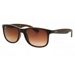 Ray-Ban Andy 4202 607313