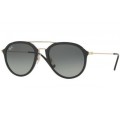 4253 RayBan