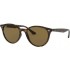 Ray-Ban 4305 710/73