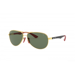 Ray-Ban 8313M F00871