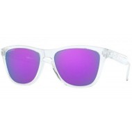 Oakley Frogskins 9013-H7