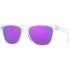 Oakley Frogskins 9013-H7
