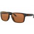 Oakley Holbrook 9102-G8