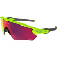 Oakley Radar EV Path 9208-49