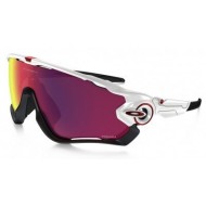 Oakley Jawbreaker 9290-05 SOLO MONTURA