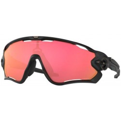 Oakley Jawbreaker 9290-48